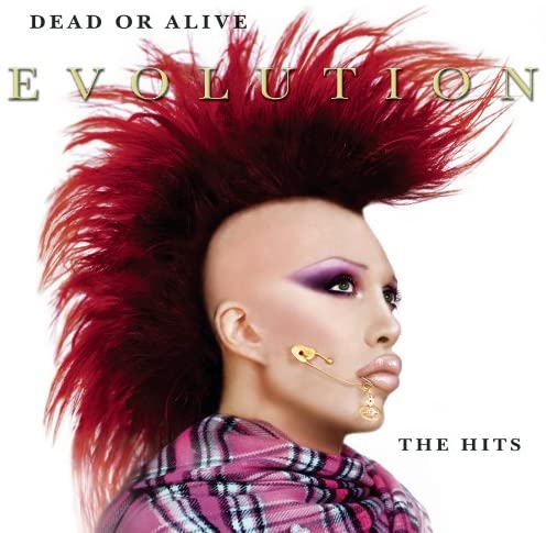 Evolution: the Hits [Audio CD] Dead Or Alive