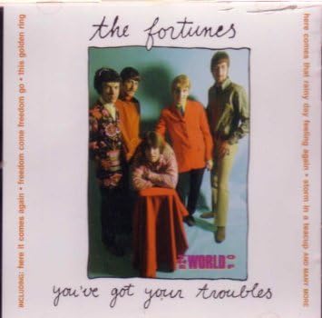 You've Got Your Troubles [Audio CD] The Fortunes