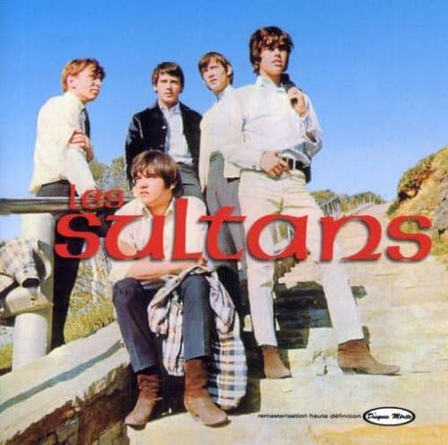 16 Grands Succes [Audio CD] Les Sultans