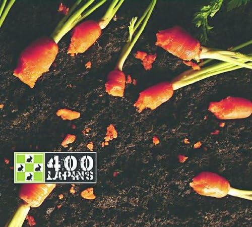 400 Lapins [Audio CD] 400 Lapins