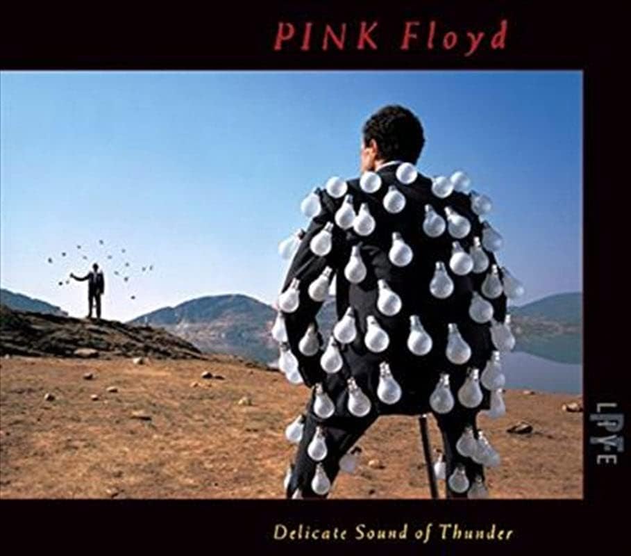 The Delicate Sound Of Thunder (Live) [Audio CD] Pink Floyd