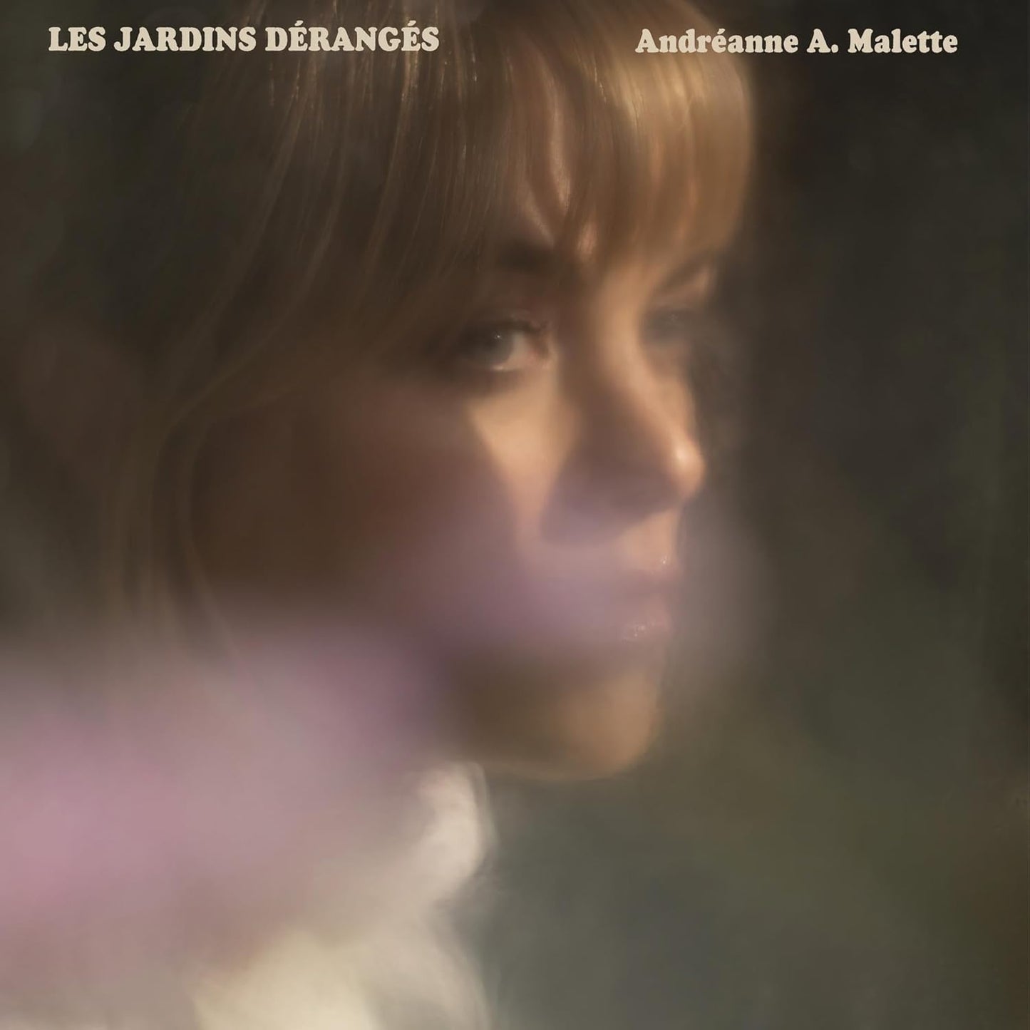 Les Jardins Deranges [Audio CD] Andreanne A. Malette