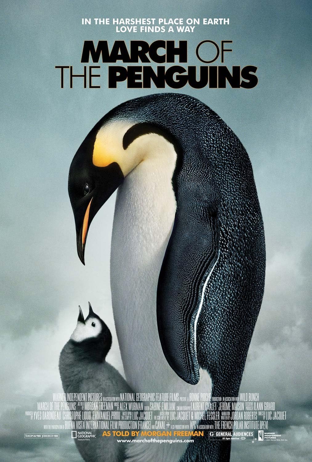 March of the Penguins (Widescreen Edition) [DVD]