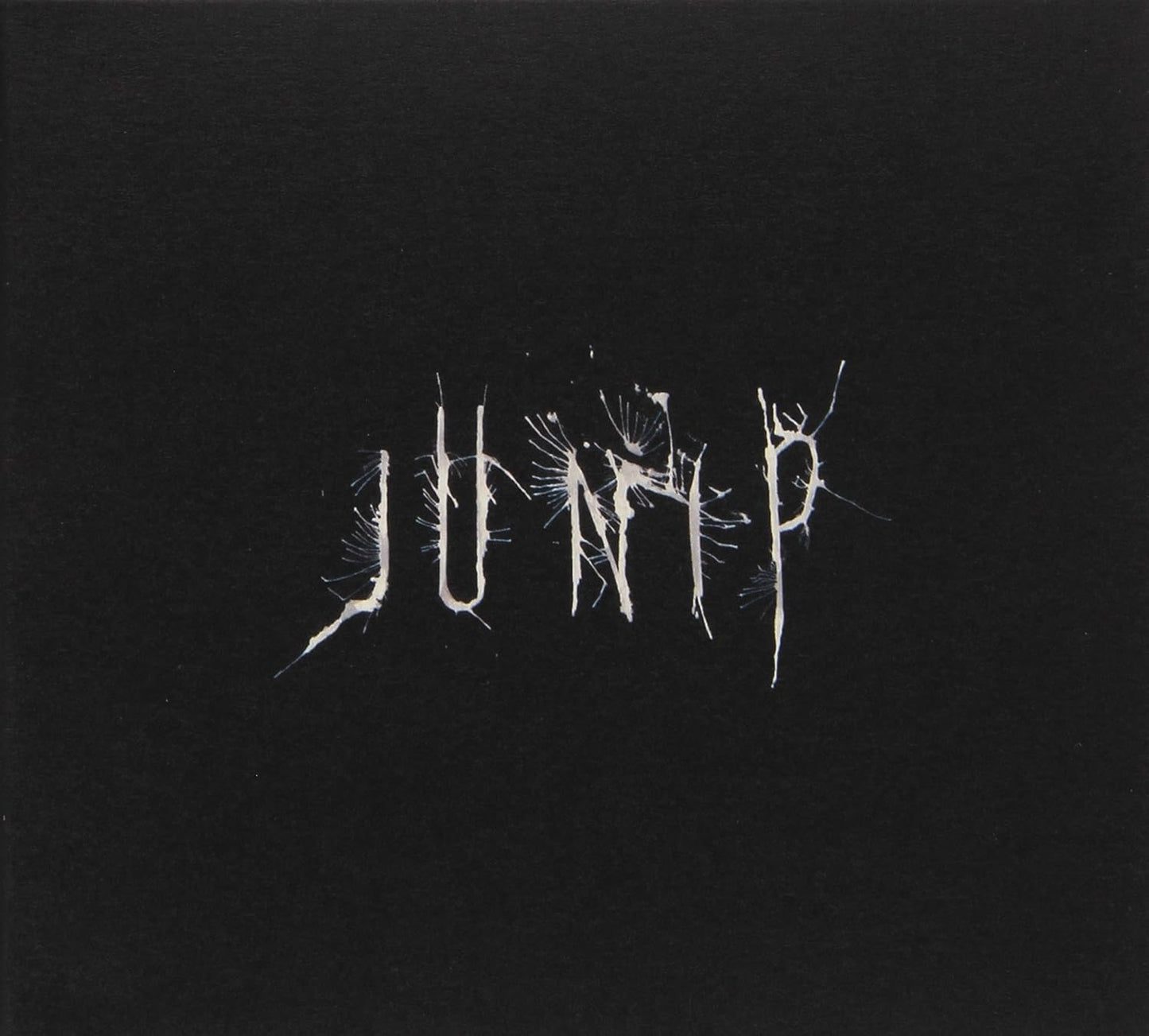 Junip [Audio CD] Junip