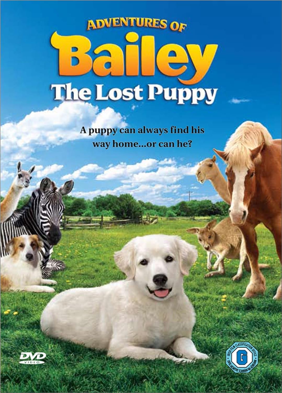 Adventures of Bailey The Lost Puppy [DVD]