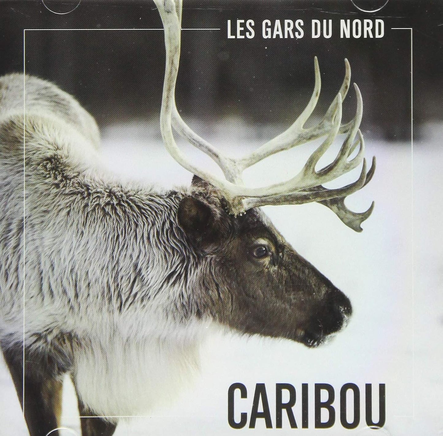 Caribou [Audio CD] Les Gars du Nord