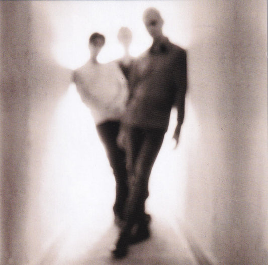 So Much for the Afterglow [Audio CD] Everclear; Greg Eklund; Craig Montoya; Neal Avron; Buddy Schnaub