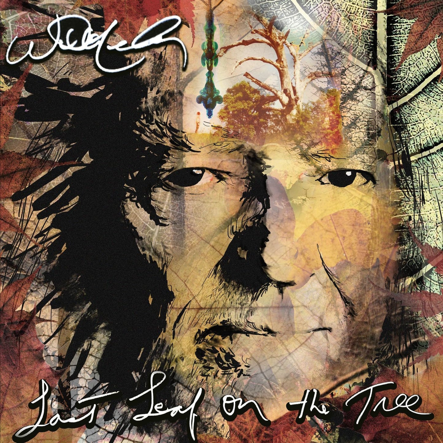 Last Leaf On The Tree [Audio CD] Willie Nelson