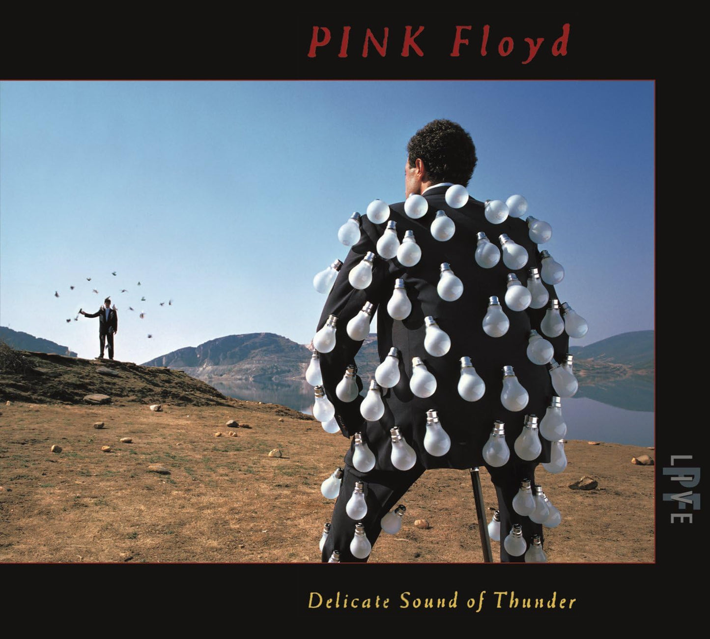Delicate Sound Of Thunder (Live) [Audio CD] Pink Floyd