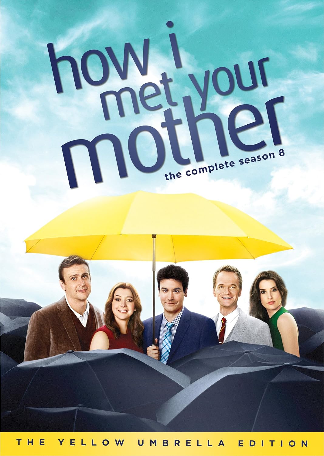 How I Met Your Mother: The Complete Eighth Season [DVD]