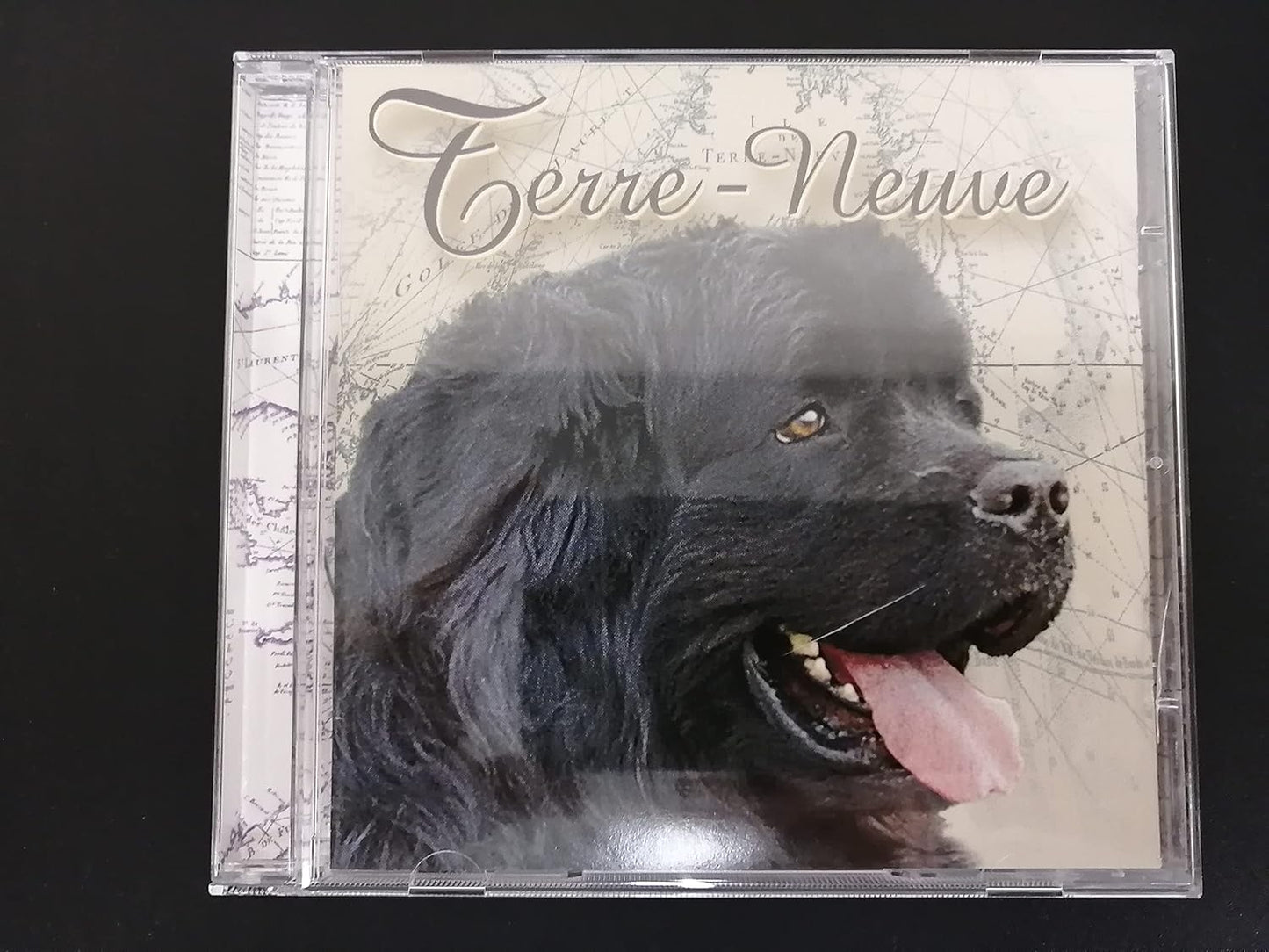 Mes Cousins du Quebec [Audio CD] Terre-Neuve (Band)
