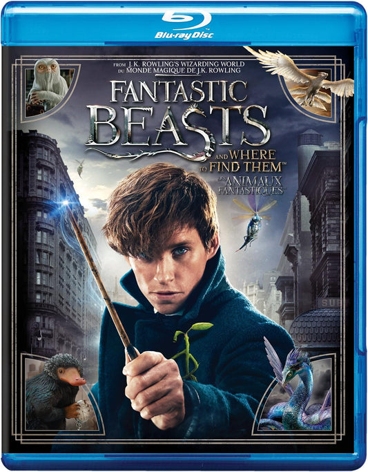 Fantastic Beasts and Where to Find Them [Blu-ray]