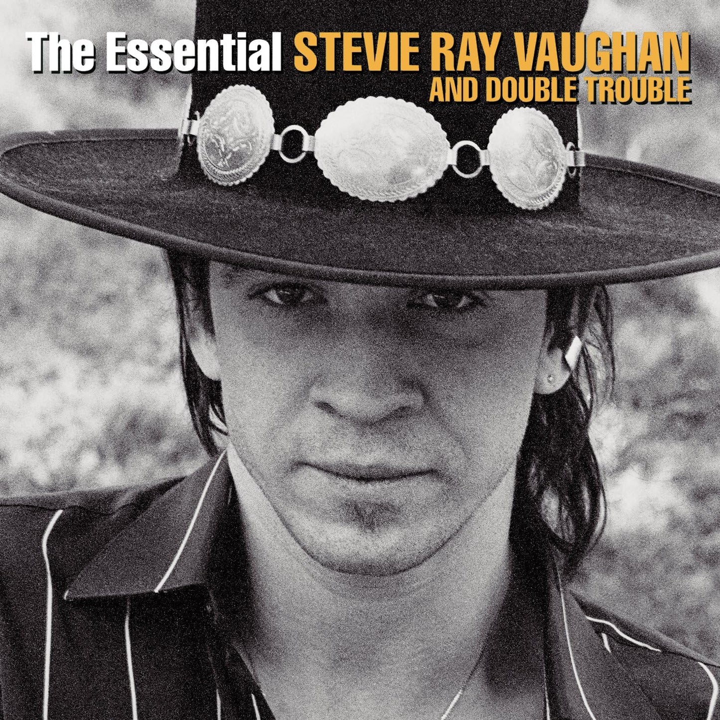 The Essential Stevie Ray Vaughan and Double Trouble [Audio CD] Stevie Ray Vaughan