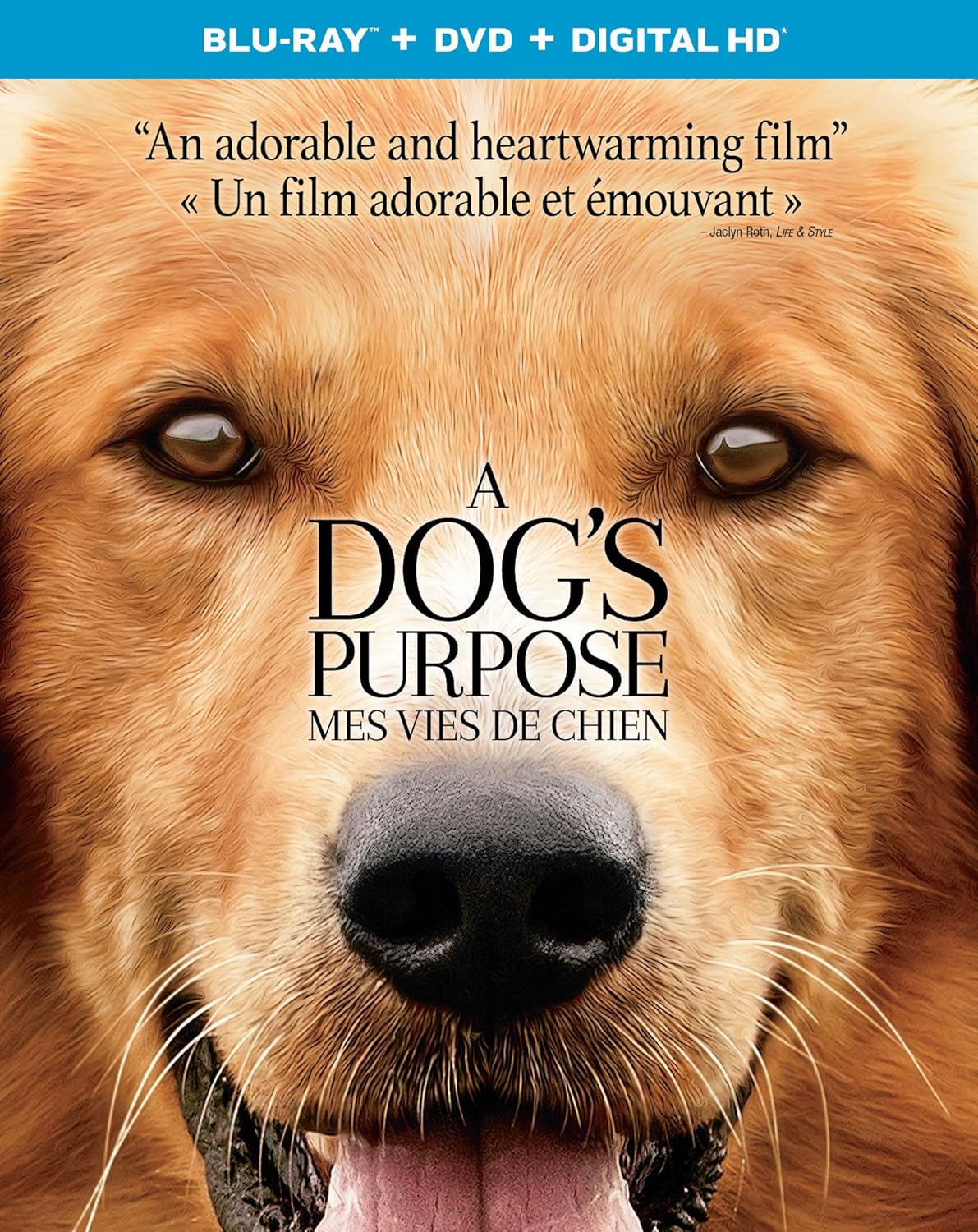 A Dog’s Purpose [Blu-ray + DVD + HD] (Bilingual)
