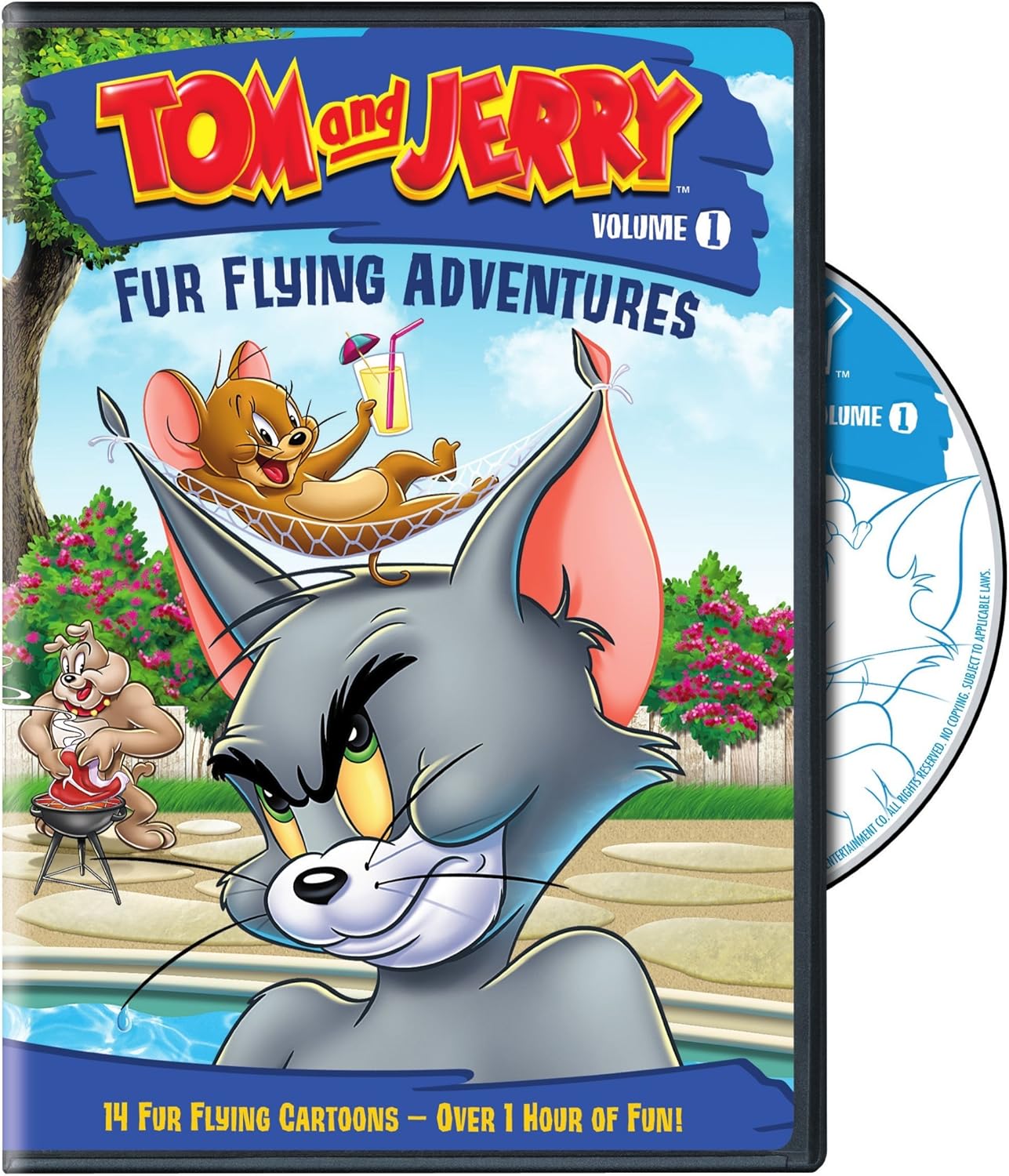 Tom and Jerry: Fur Flying Adventures [DVD]