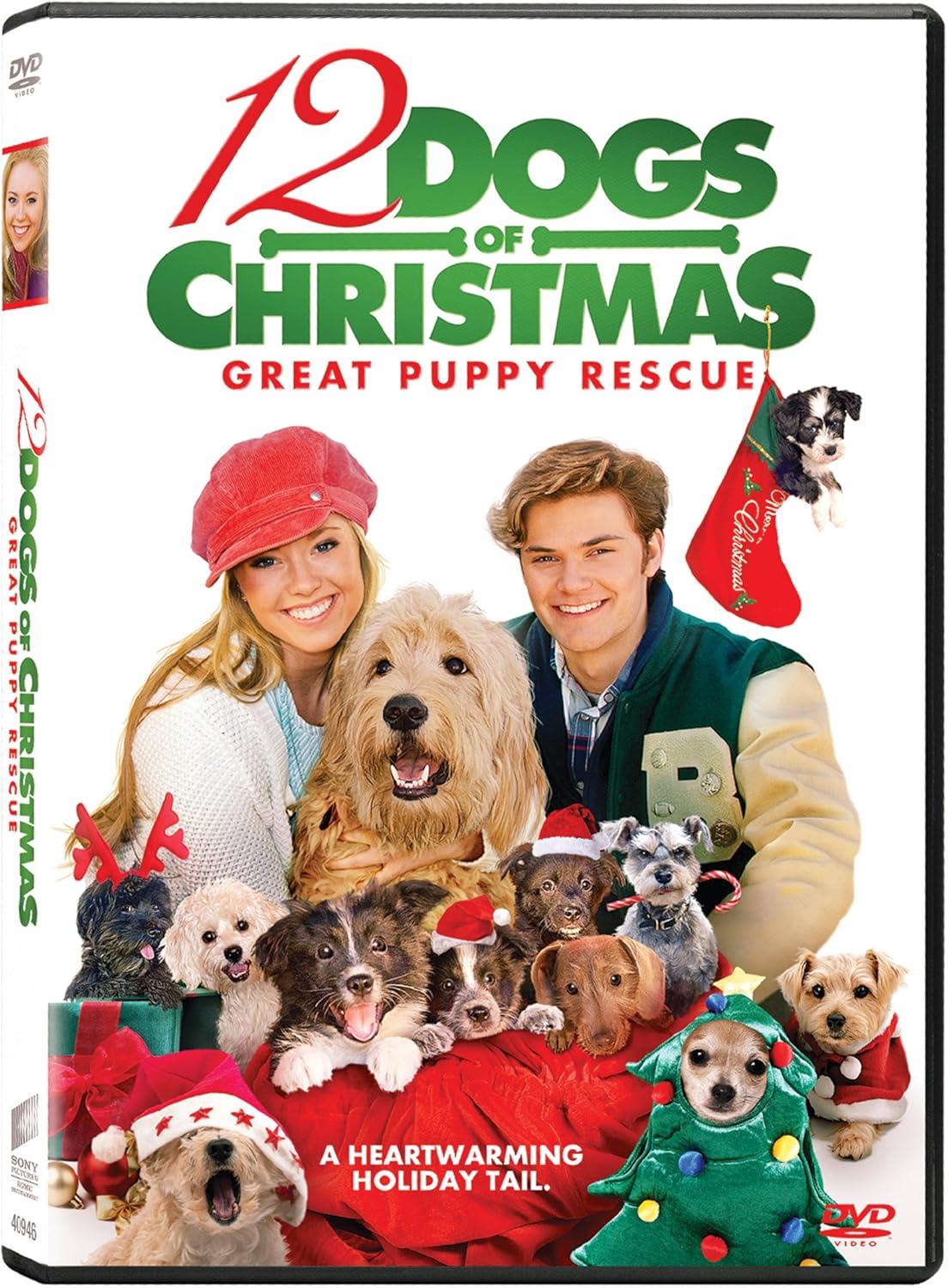 12 Dogs of Christmas: Great Puppy Rescue (Sous-titres français) [DVD]