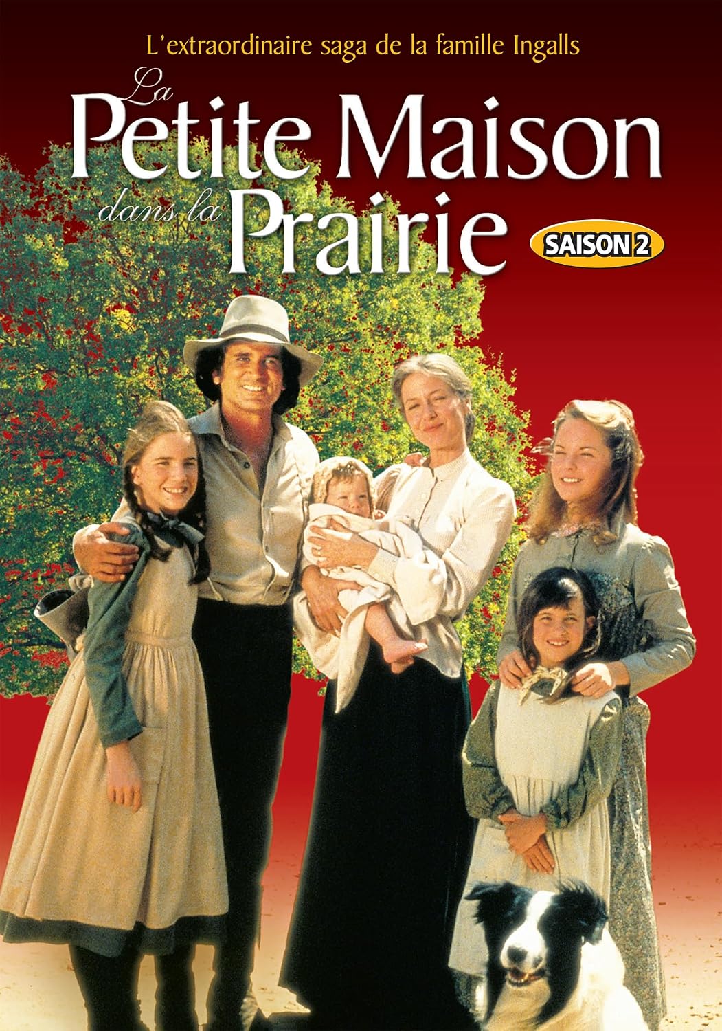 Petite Maison Dans La Prairie, Saison 2 [dvd]
