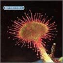 Primordia [Audio CD] Brainbox