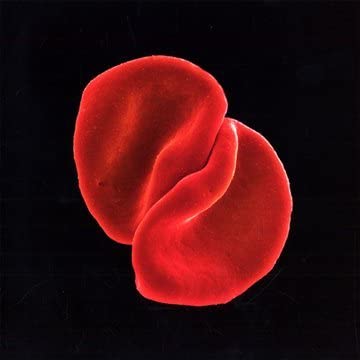 Scratch my back [Audio CD] Peter Gabriel.
