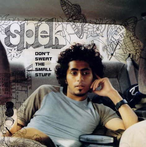 Don't Sweat The Small Stuff [Audio CD] Spek