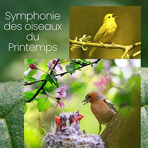 Symphonie Des Oiseaux Du Printemps / Incluant une piste de près de 15 minutes avec QUE LE CHANT DES OISEAUX (sans musique) [Audio CD] Chants de Oiseaux