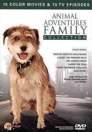 Animal Adventures Family Col [Import] [DVD]