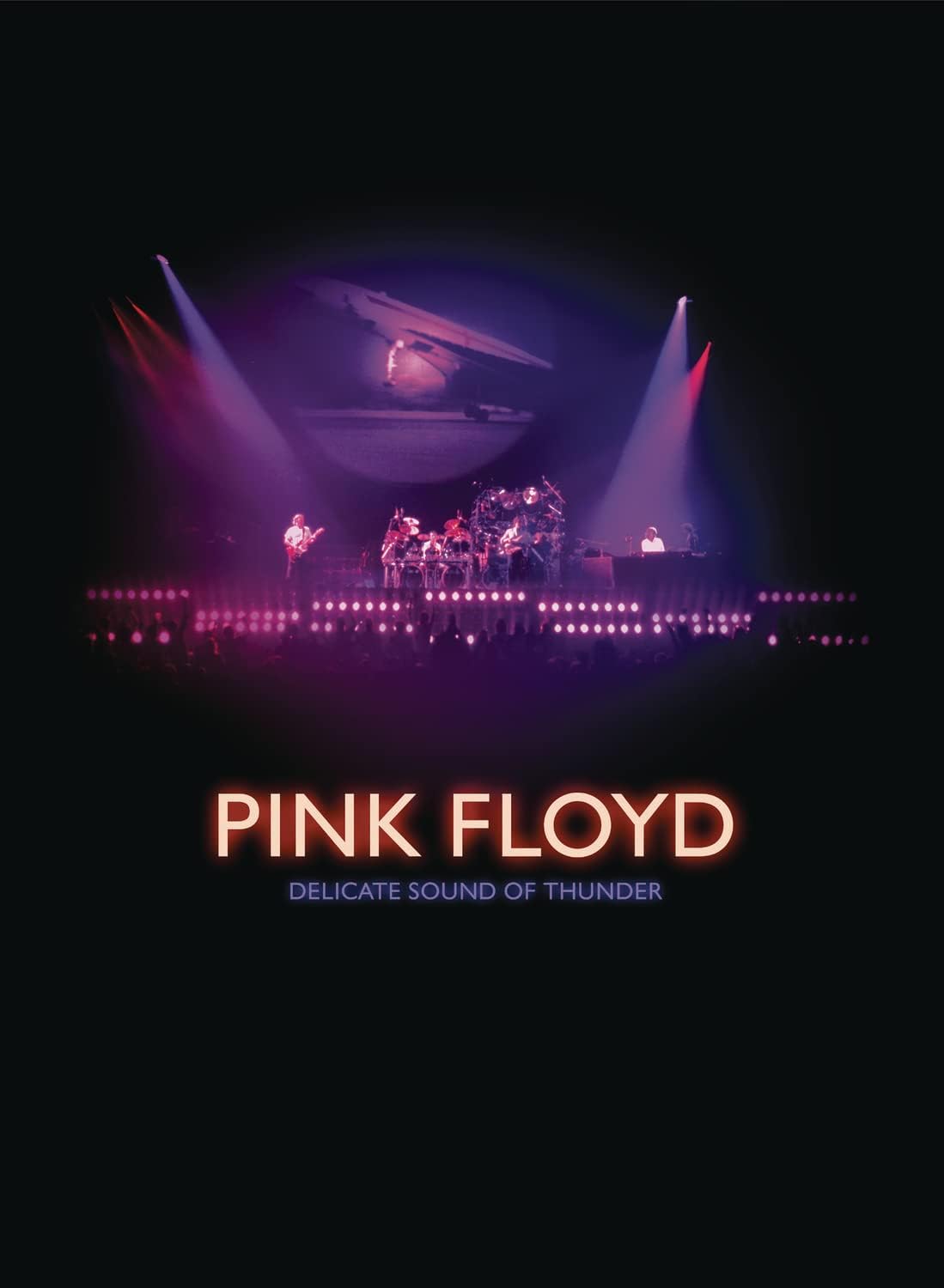 Delicate Sound Of Thunder - Restored, Re-edited, Remixed [DVD]