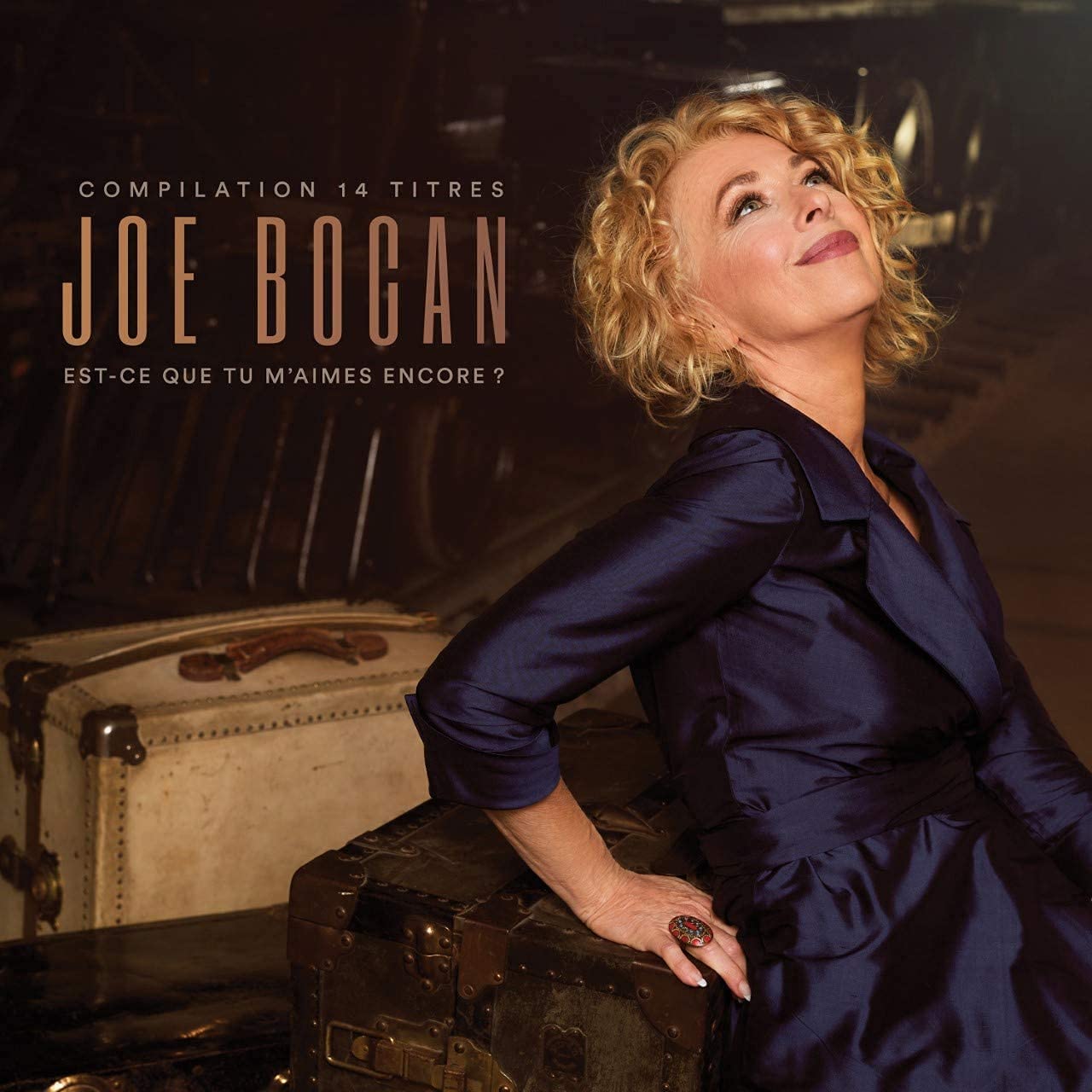 Compilation 14 Titres / Est-Ce Que Tu M'Aimes Encore? [Audio CD] Joe Bocan