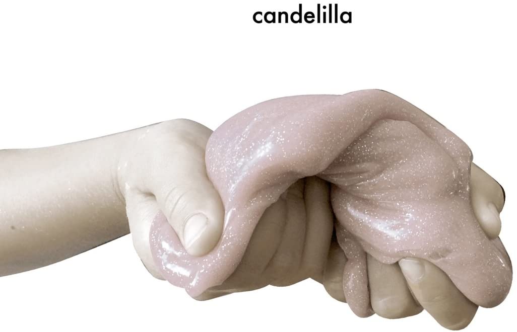 Camping [Audio CD] CANDELILLA