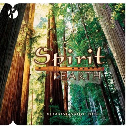Spirit Earth [Audio CD] Reflections