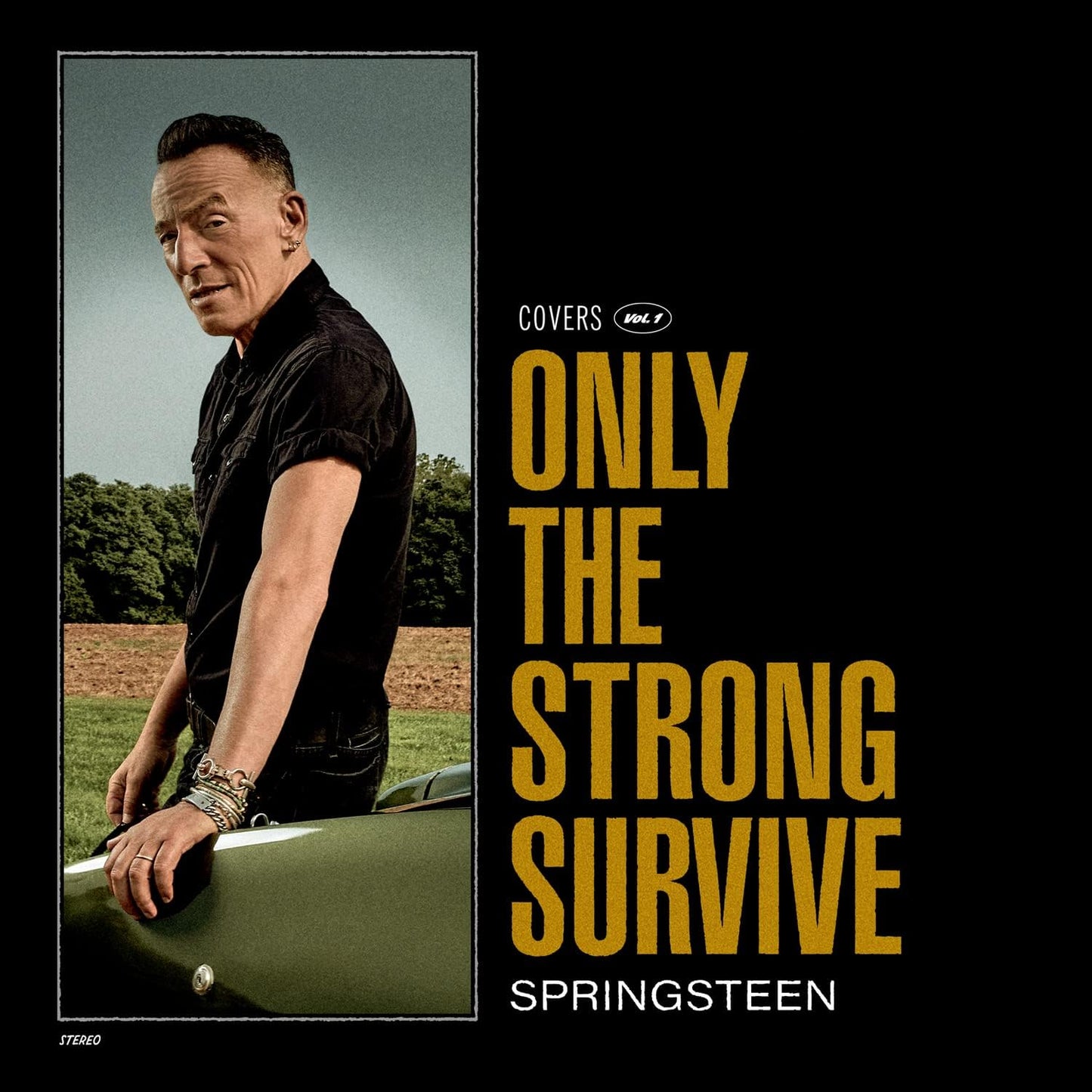 Only The Strong Survive [Audio CD] Bruce Springsteen