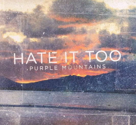 Purple Mountains (Slash Skate Punk) [Audio CD] Hate It Too