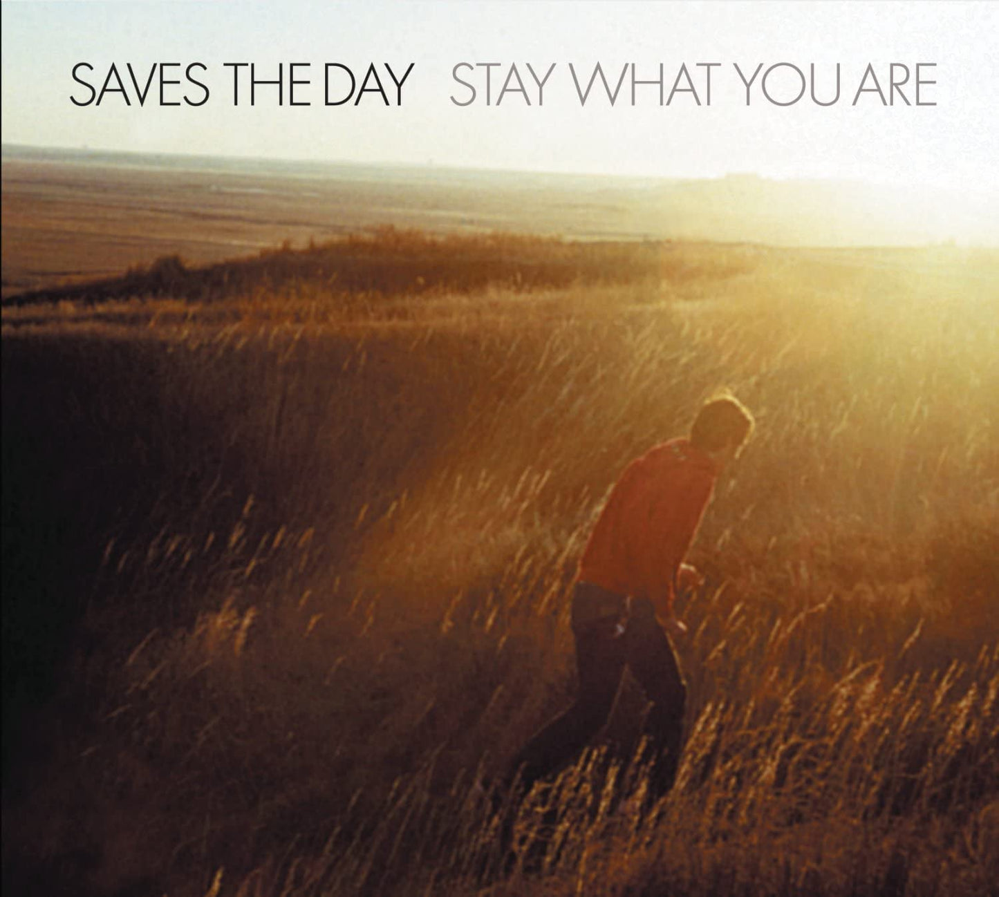 Stay What You Are [Audio CD] Saves The Day