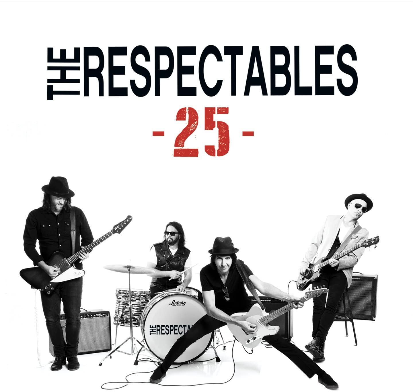 The Respectables 25 [Audio CD] Les Respectables