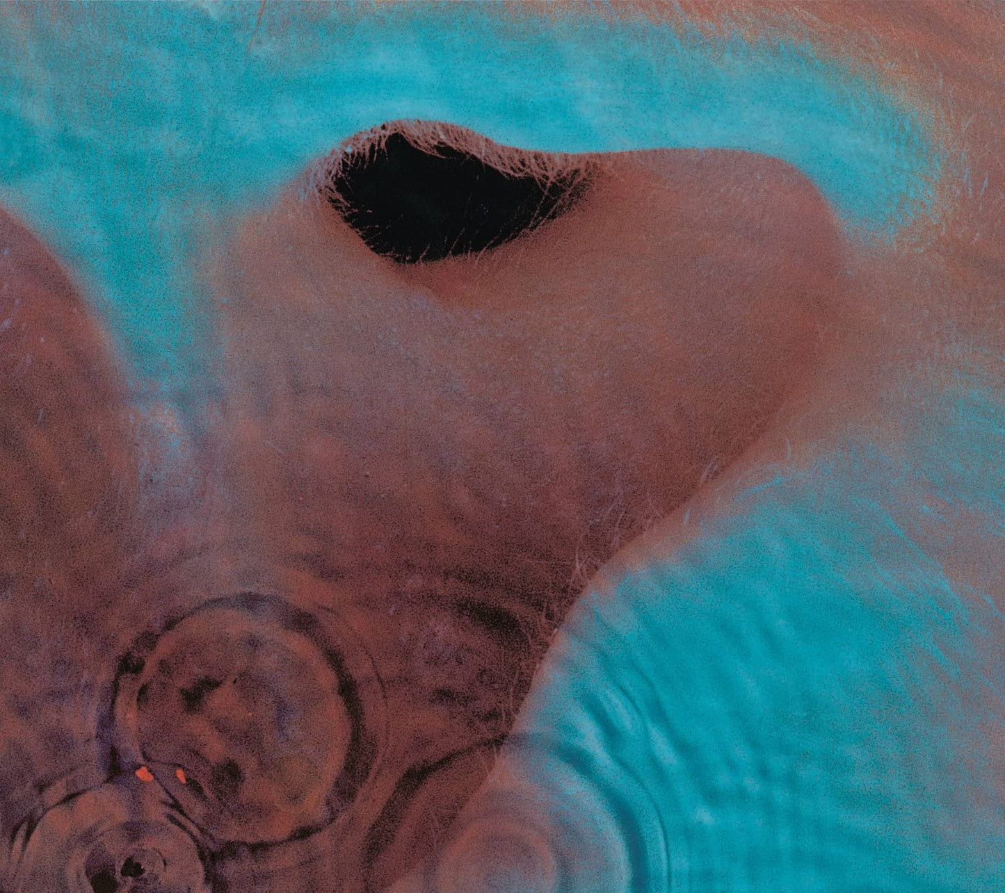 Meddle [Vinyl] Pink Floyd