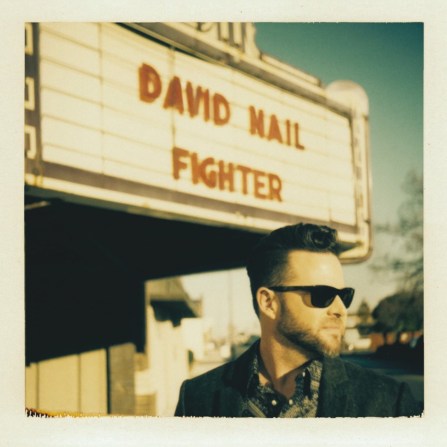 The Fighter [Audio CD] Nail/ David