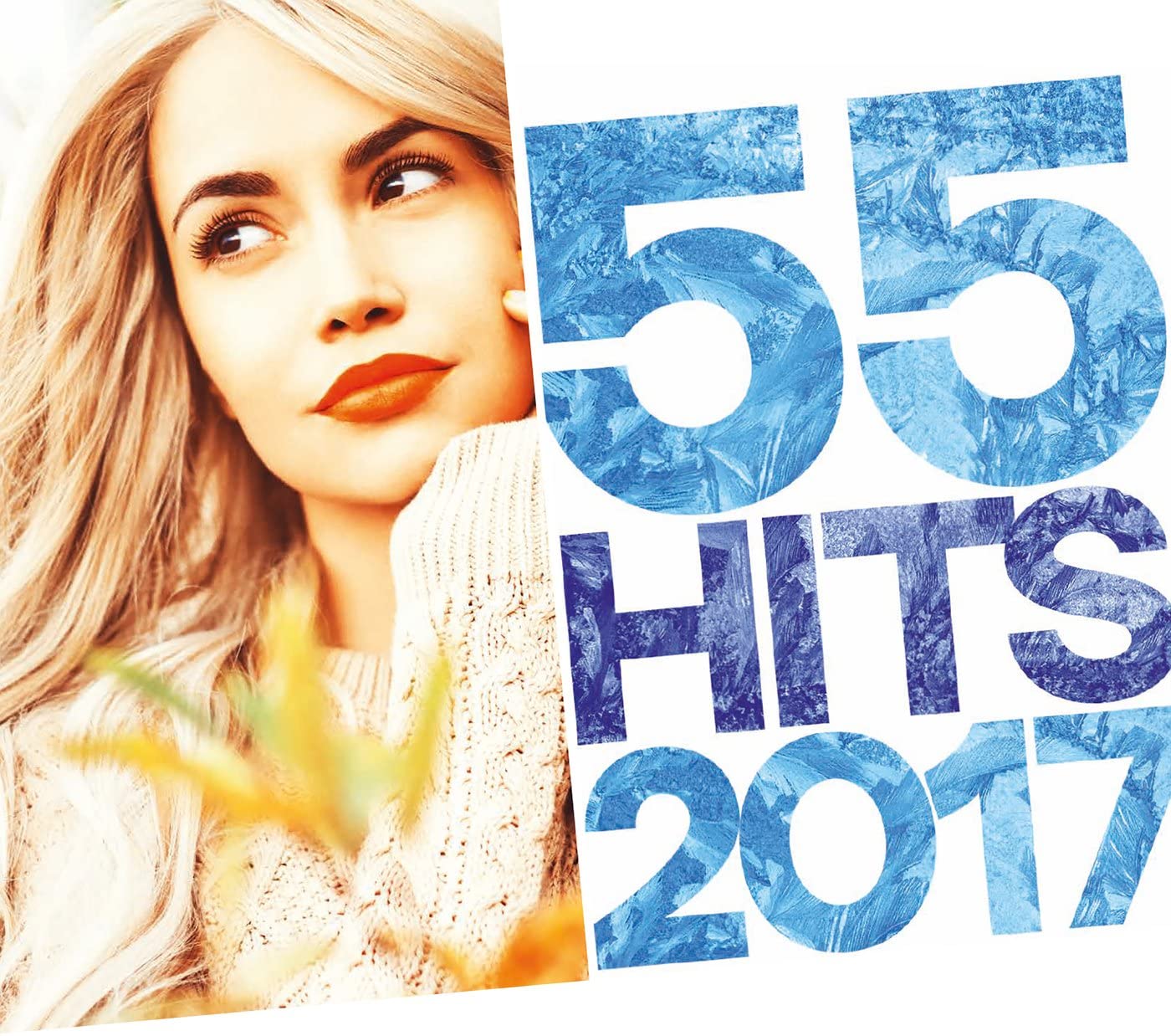 55 Hits 2017 / Various [Audio CD] Various Artists