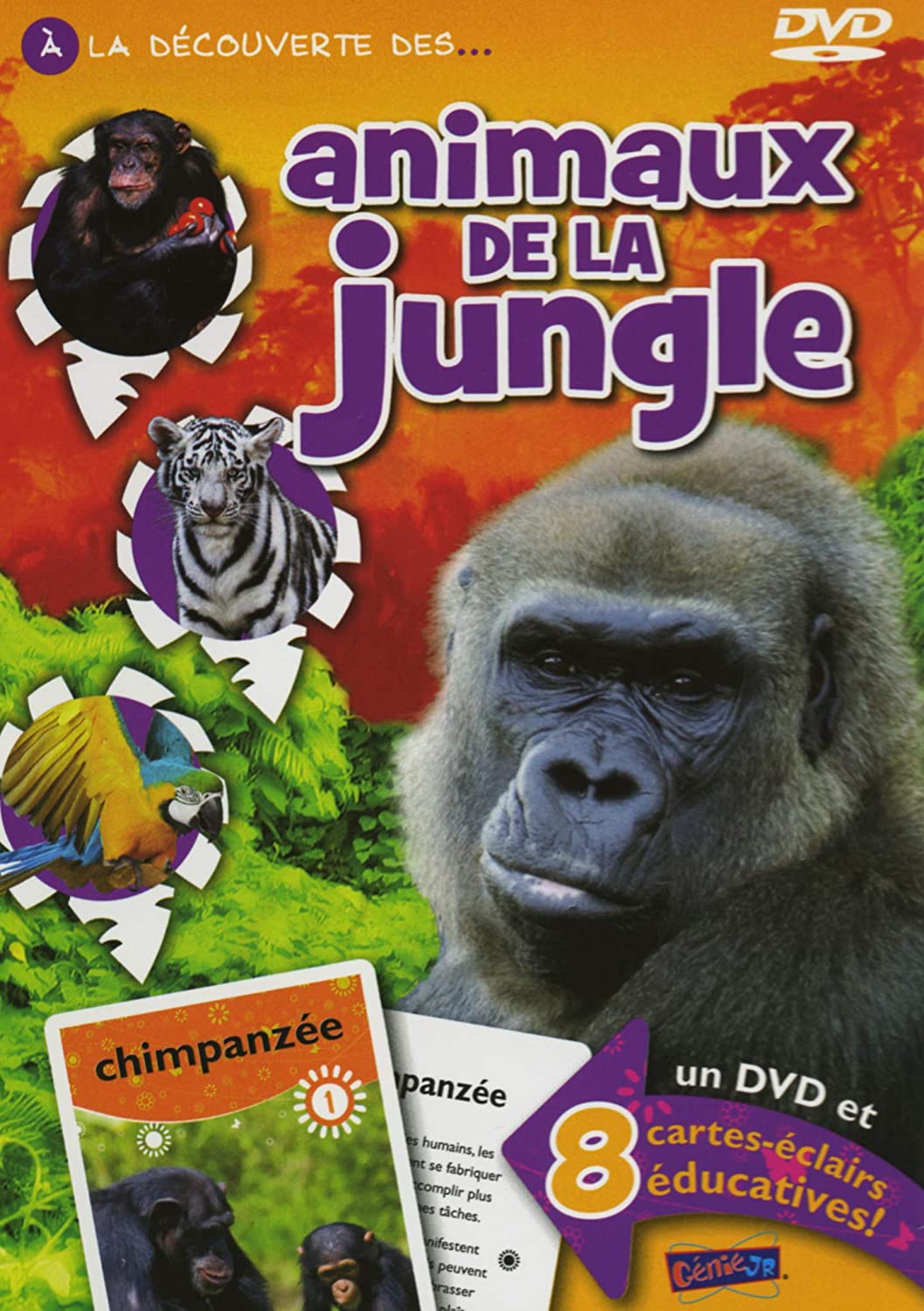 Animaux de la Jungle [DVD]