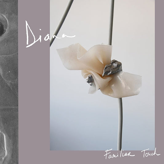 Familiar Touch [Audio CD] DIANA