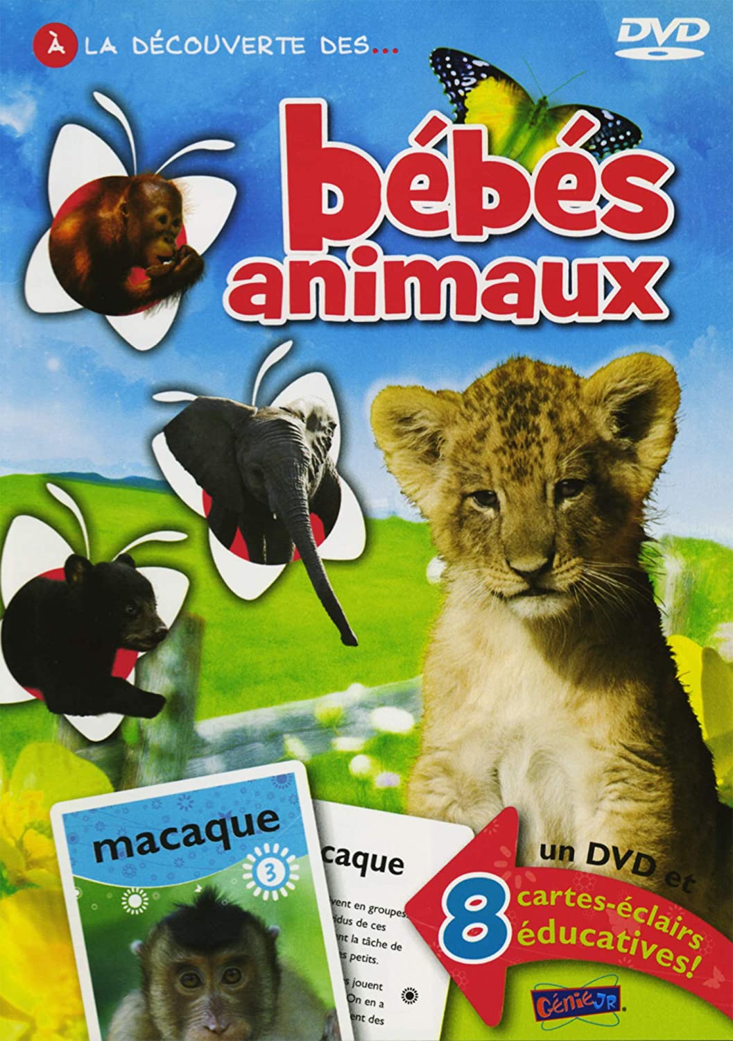 Bebes Animaux [DVD]