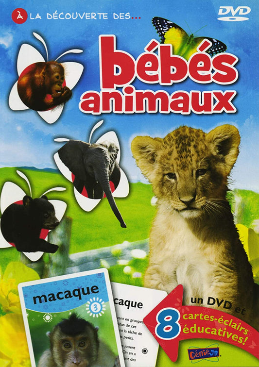 Bebes Animaux [DVD]