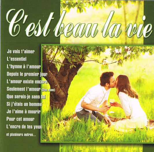 C'Est Beau La Vie (Compilation) [Audio CD] Caroline Laurendo/ Yvan Pion/ France Dallaire/ Dany Geffrey/ Richard Savignac