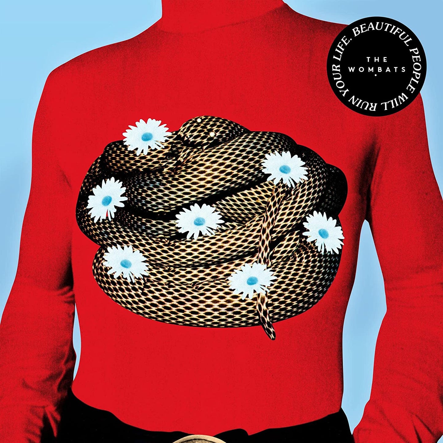 Beautiful People Will Ruin Your Life [Audio CD] The Wombats