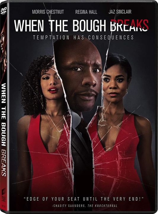 When the Bough Breaks (Sous-titres français) [DVD]
