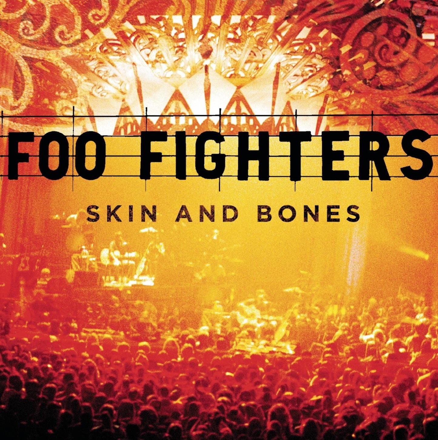 Skin and Bones [Audio CD] Foo Fighters and Multi-Artistes