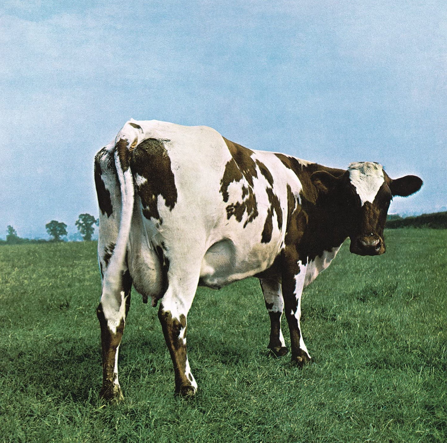 Atom Heart Mother [Vinyl] Pink Floyd