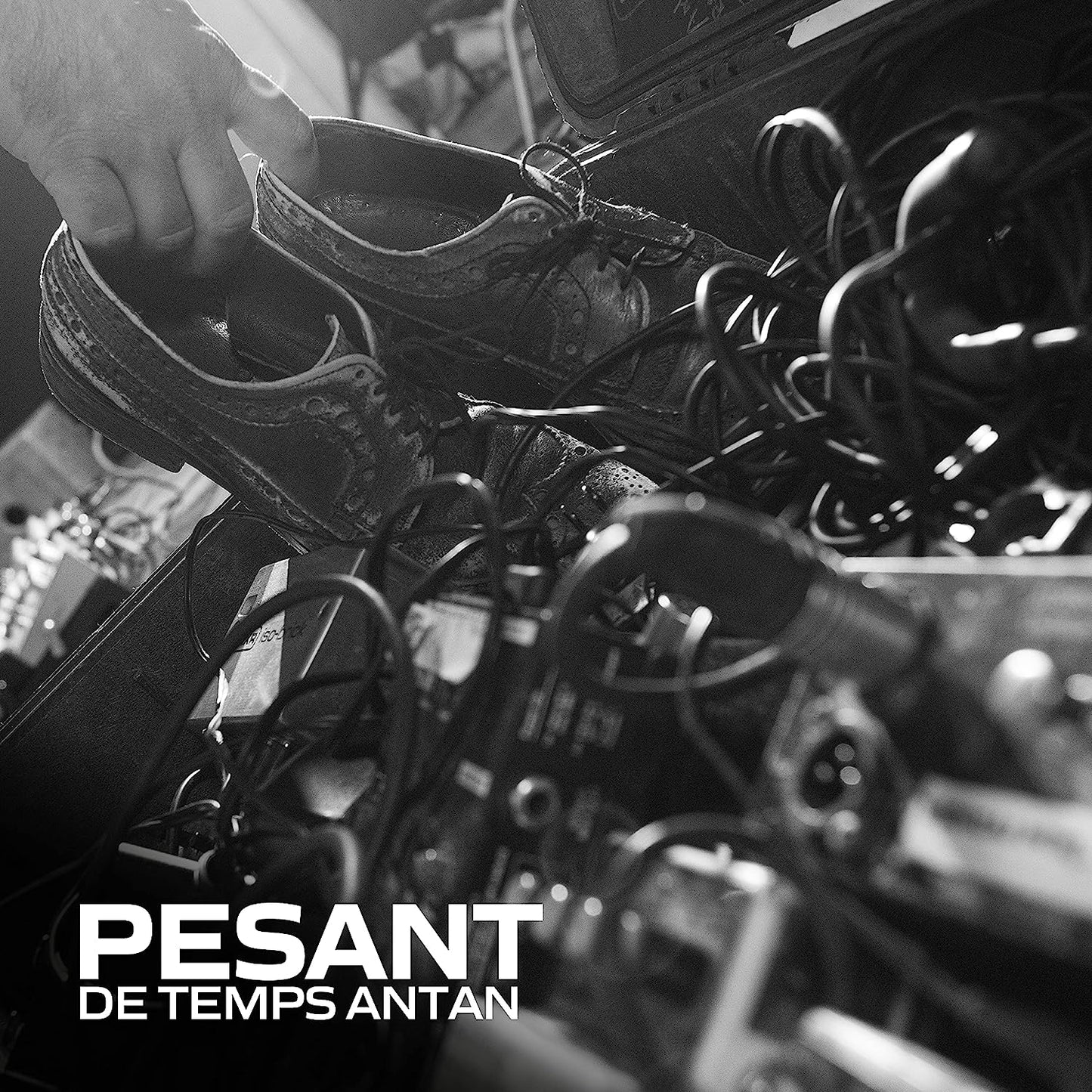 Pesant [Audio CD] De Temps Antan