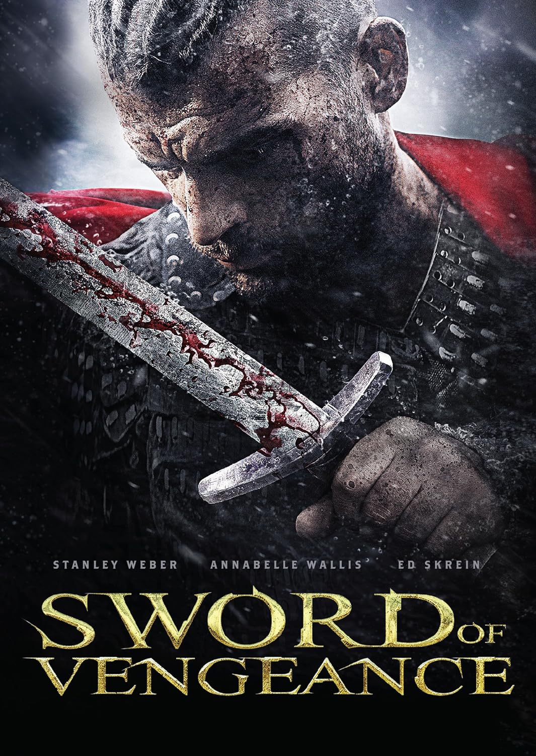 Sword of Vengeance [DVD]