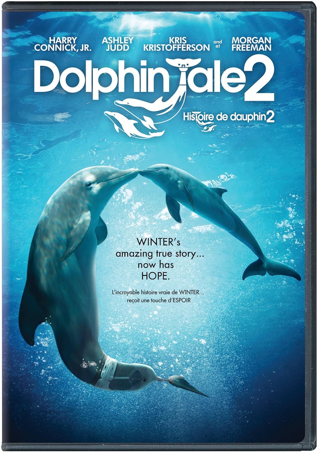Dolphin Tale 2 (Bilingual) [DVD]