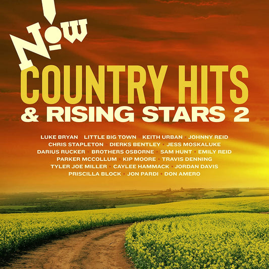 Now! Country: Hits & Rising Stars [Audio CD] Various Artists
